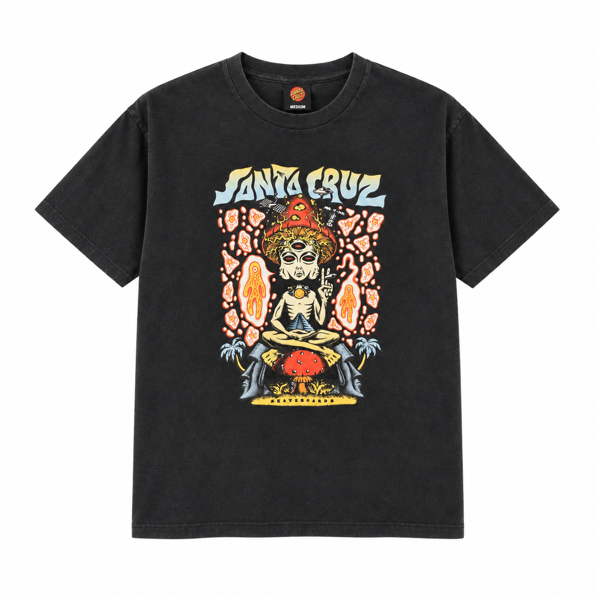 SANTA CRUZ WINKOWSKI SPACED OUT FRONT TEE