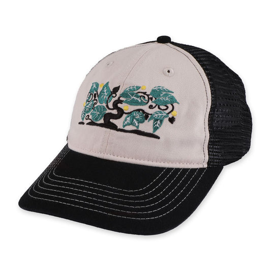 Pass~Port Orchard leagues trucker