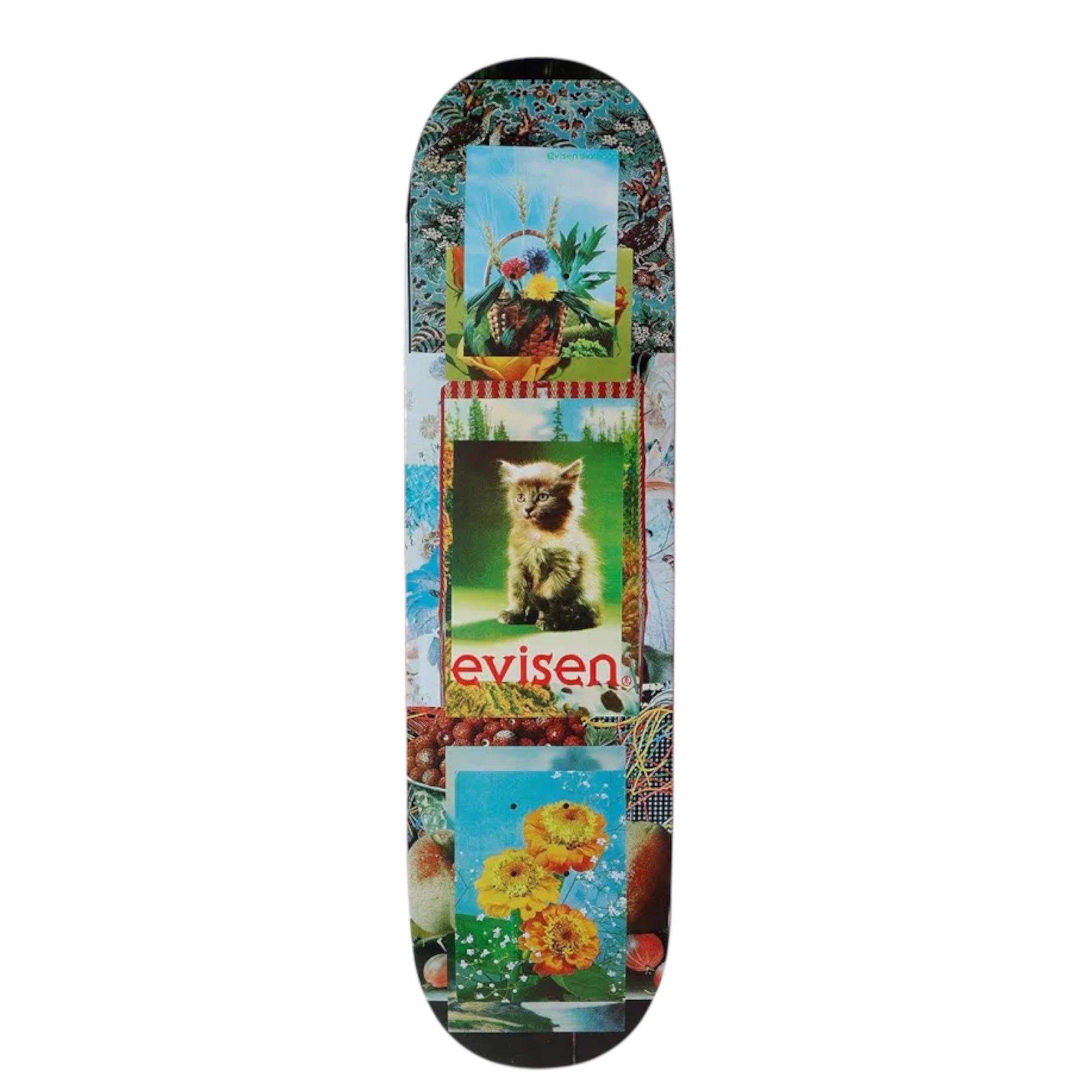 Evisen Feline Machine 8.125” deck