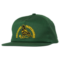 ANTI HERO - CLUBHOUSE SNAPBACK GREEN/GOLD