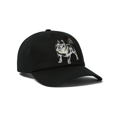 HUF 4 THE DAWGS SNAPBACK - BLACK